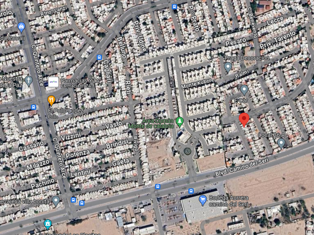 place photo 11