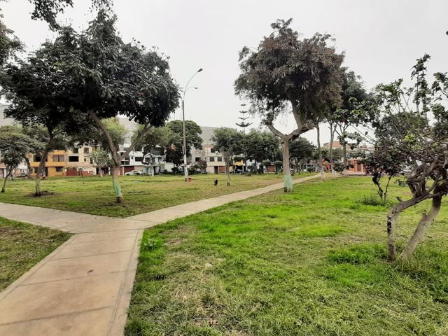 place photo 49