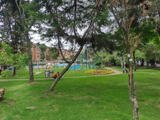 place photo 21
