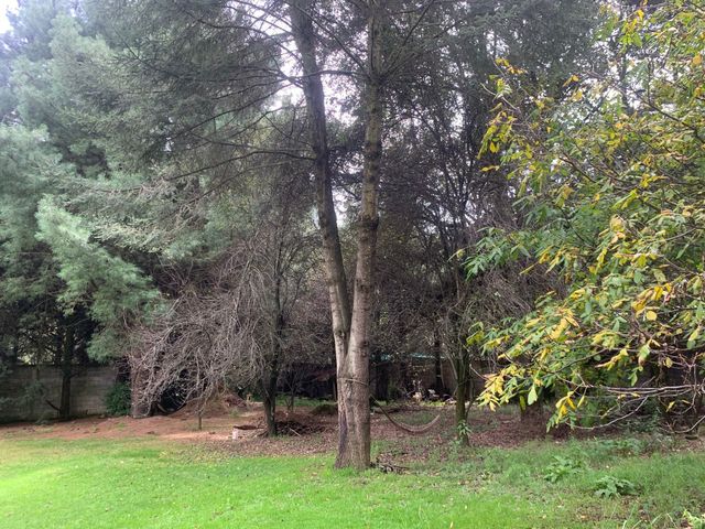 place photo 31