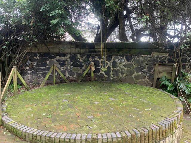 place photo 37