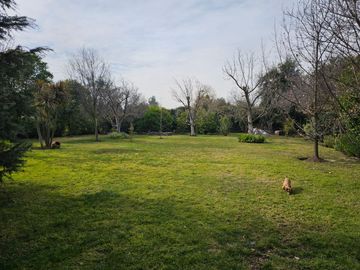 place photo 24