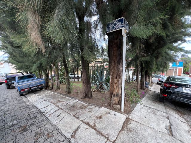 place photo 27