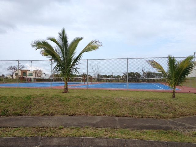 place photo 7