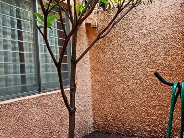 place photo 73