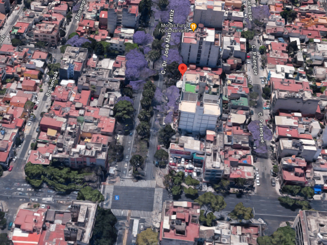 place photo 6