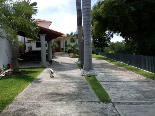 place photo 19