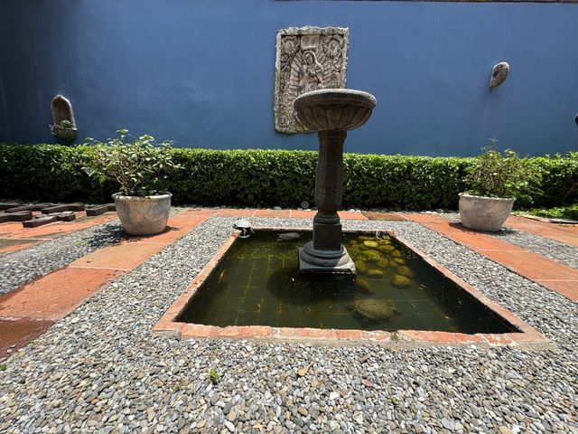 place photo 26