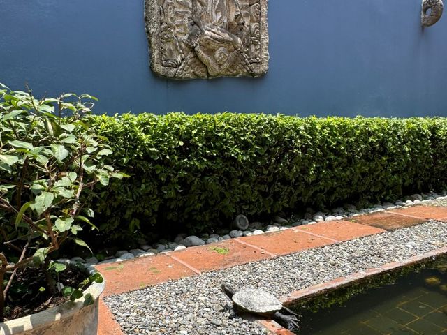 place photo 27