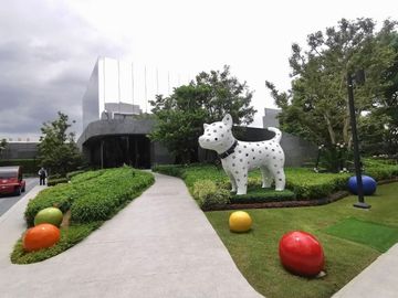place photo 24
