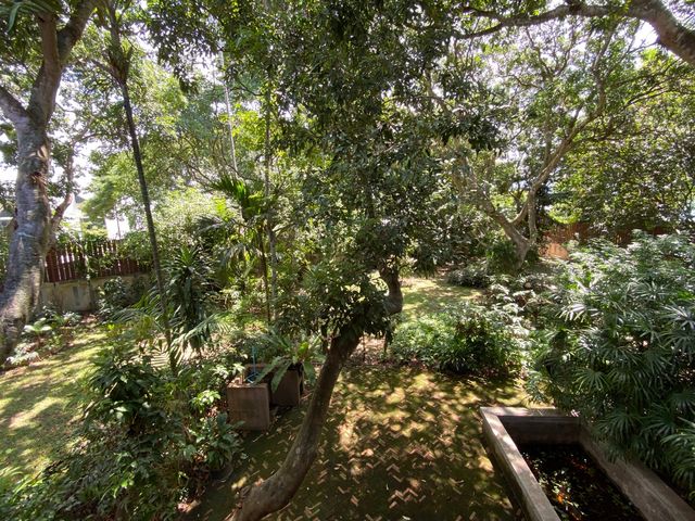 place photo 41