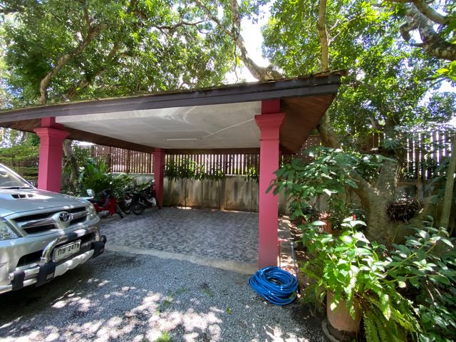 place photo 52