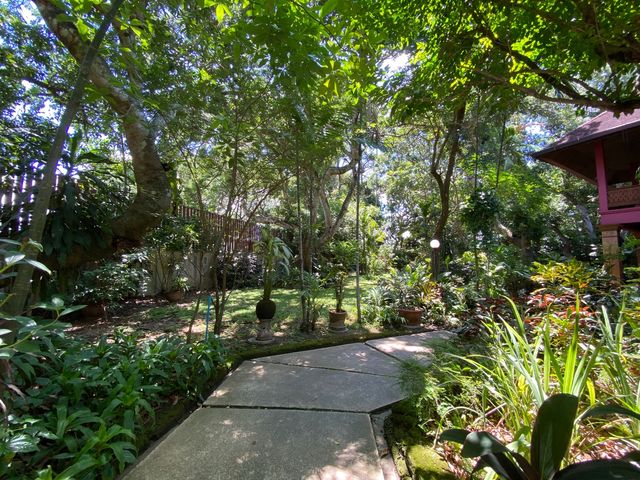 place photo 53