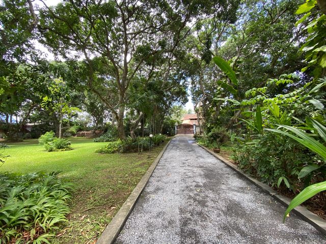 place photo 57