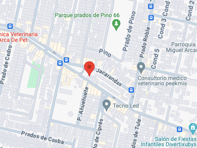 place photo 6