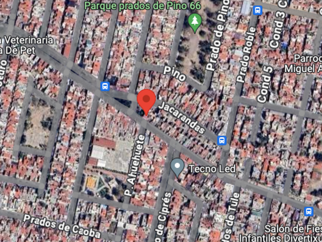 place photo 7