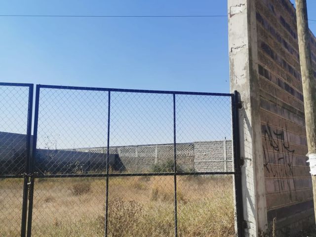 place photo 4