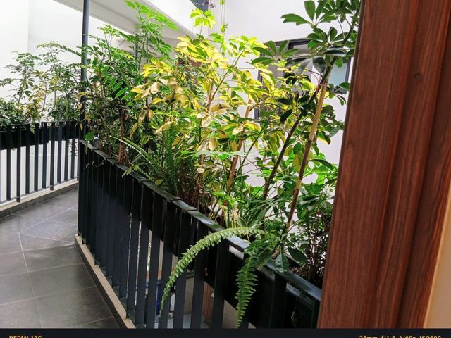 place photo 21