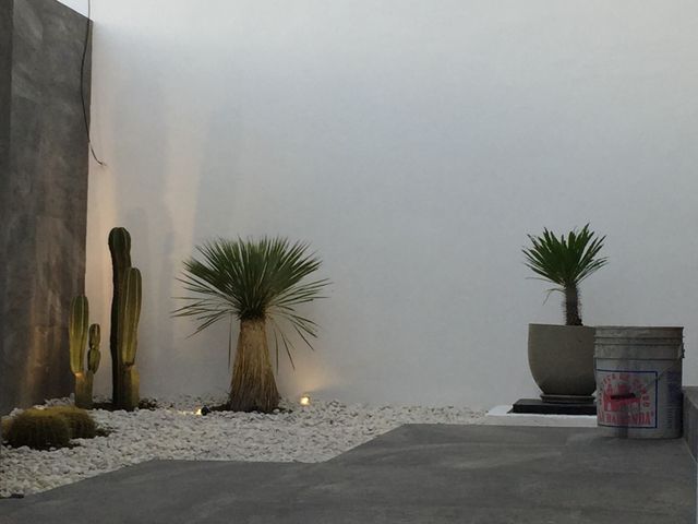 place photo 31