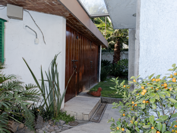 place photo 46