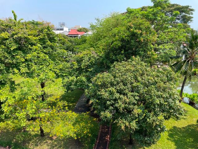 place photo 48