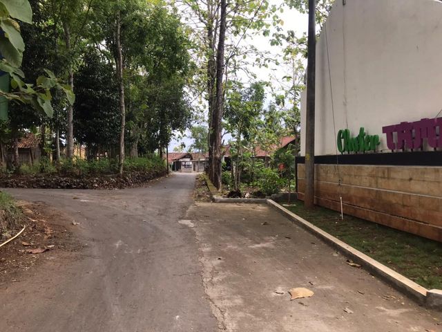 place photo 11