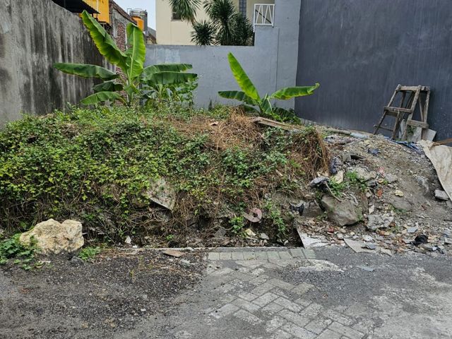 place photo 18