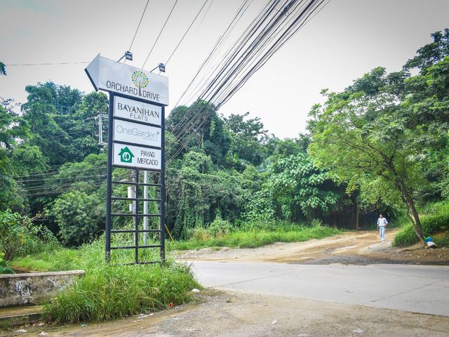place photo 19