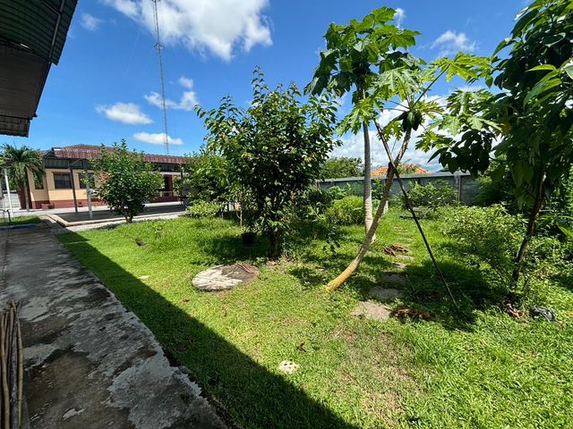 place photo 38