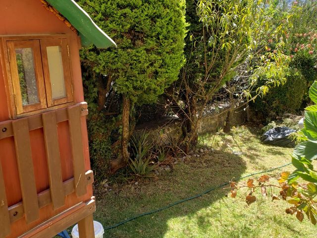 place photo 39