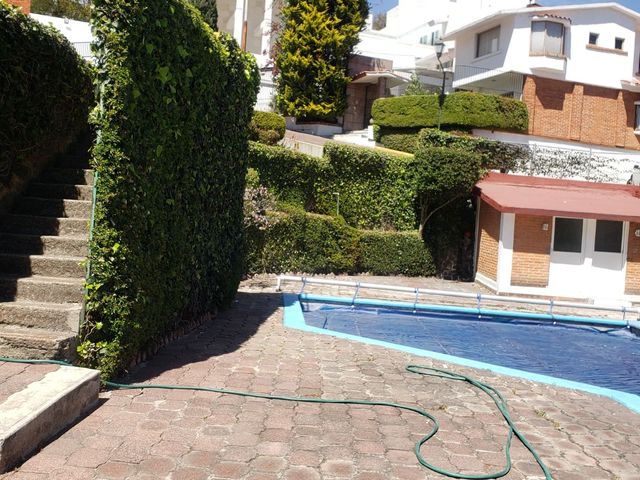 place photo 45