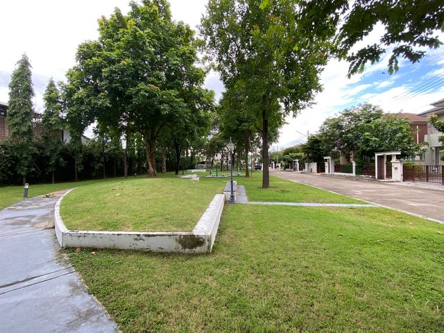 place photo 33