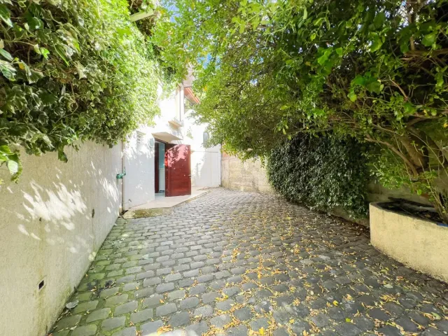 place photo 23