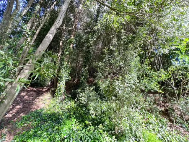 place photo 27