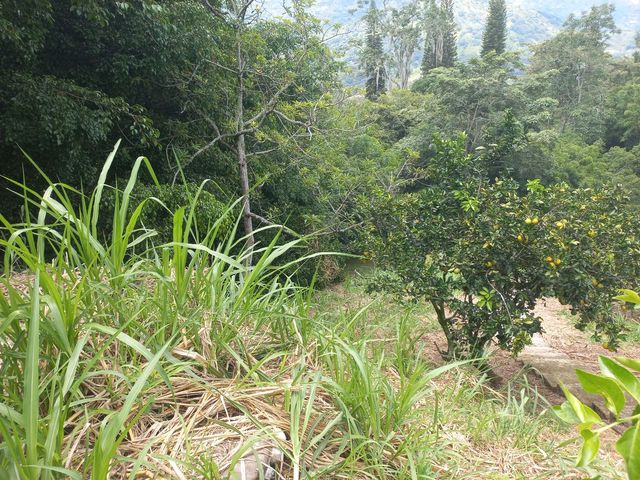place photo 40