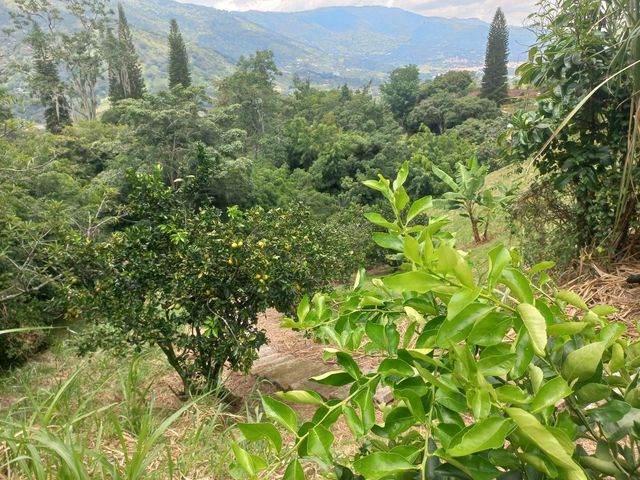 place photo 47