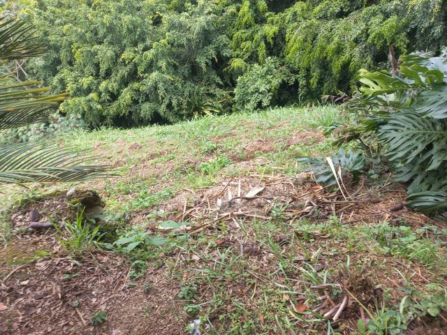 place photo 59