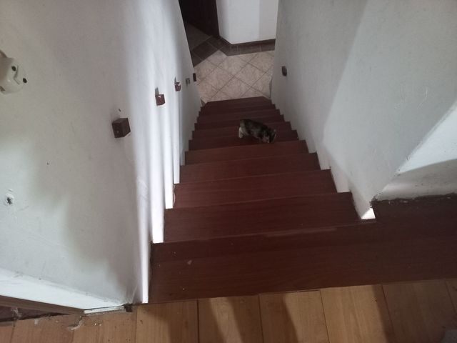 place photo 53