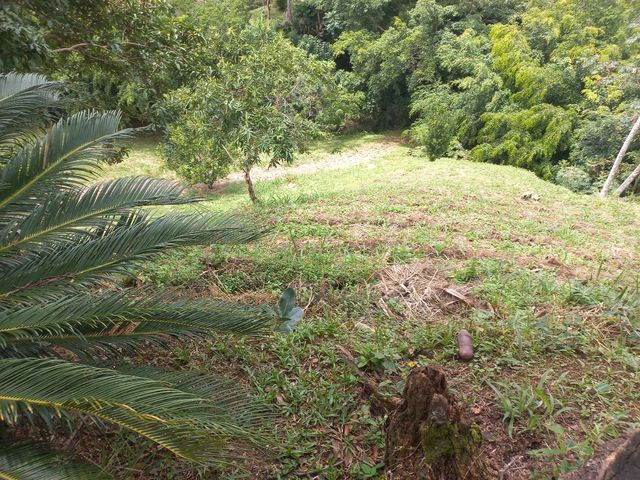 place photo 55