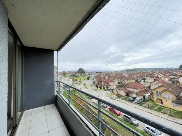 place photo 14