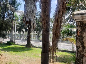 place photo 27
