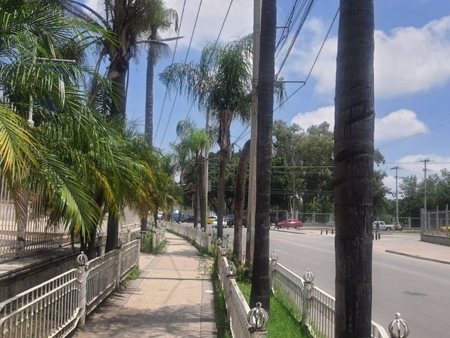place photo 33