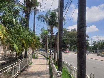place photo 33