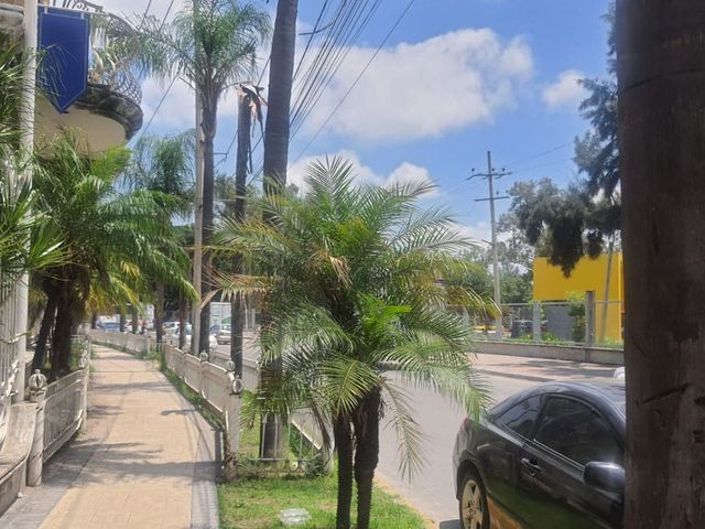 place photo 35
