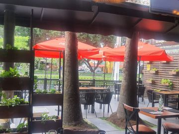 place photo 12