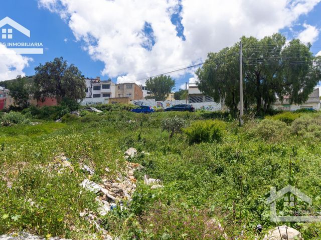 place photo 28