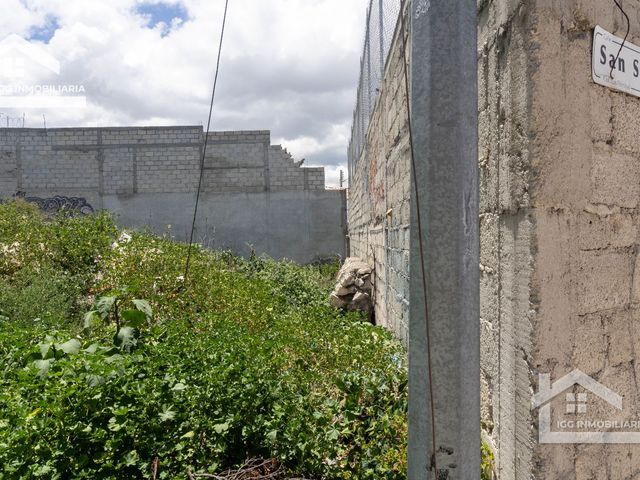 place photo 46