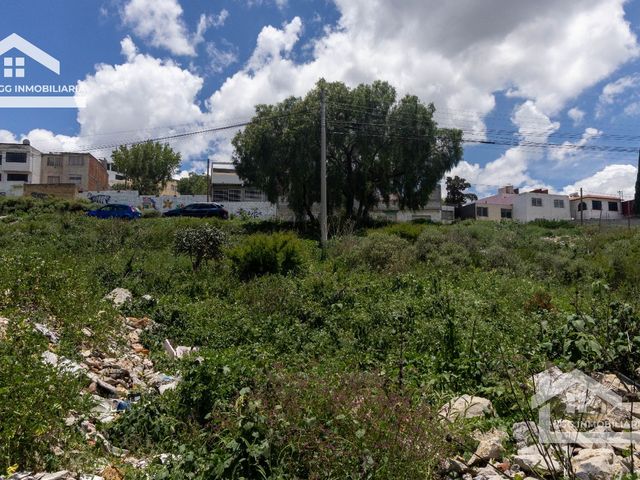 place photo 43