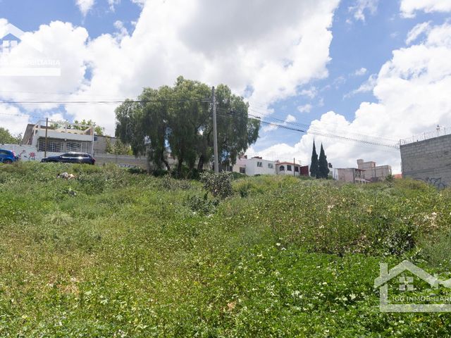 place photo 44