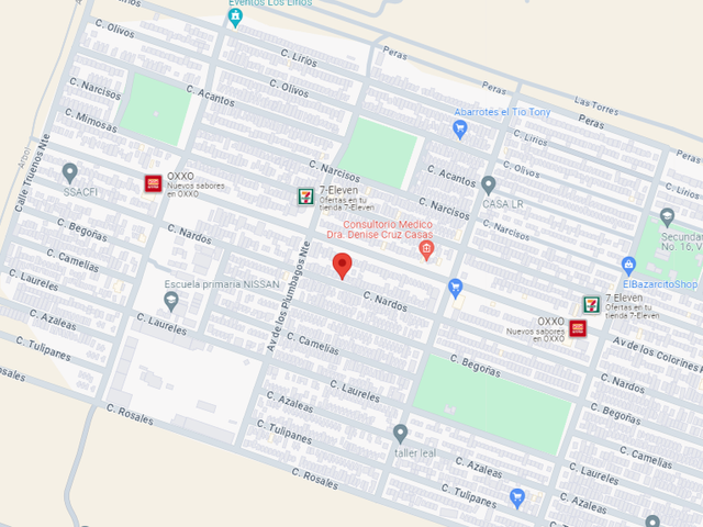 place photo 10
